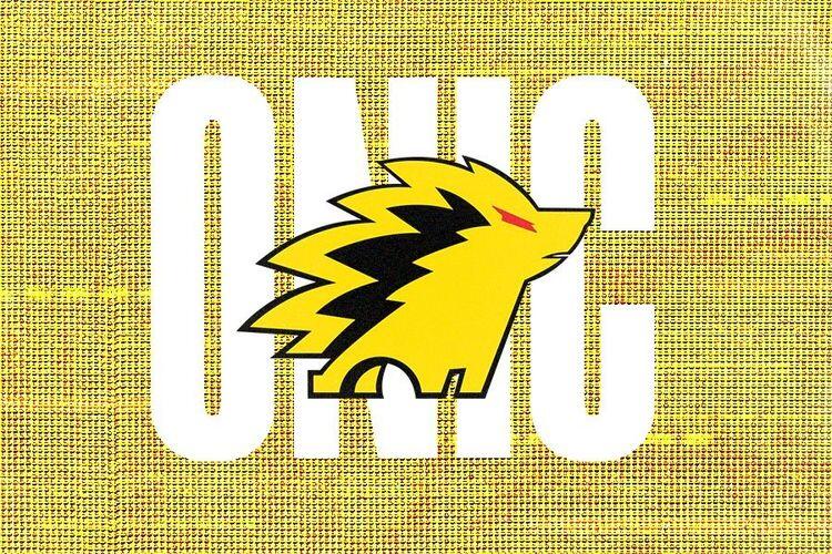 ONIC Esports. Sumber: Grafis: Andreas Jovi Arnanda/Skor.id